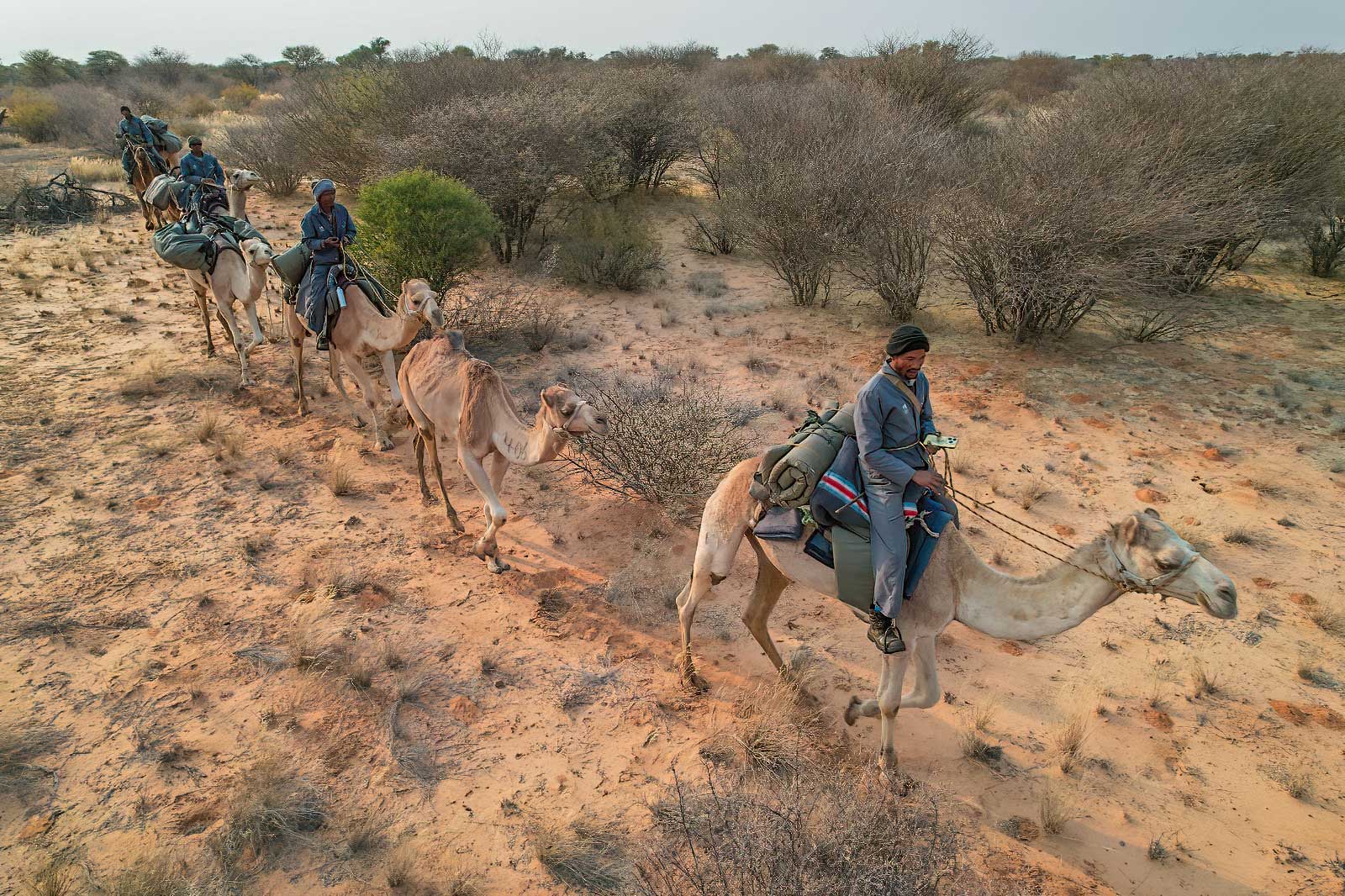 kalahari-camelback-trackers-botswana-1600 Tanate's Kalahari Camelback Trackers in Botswana